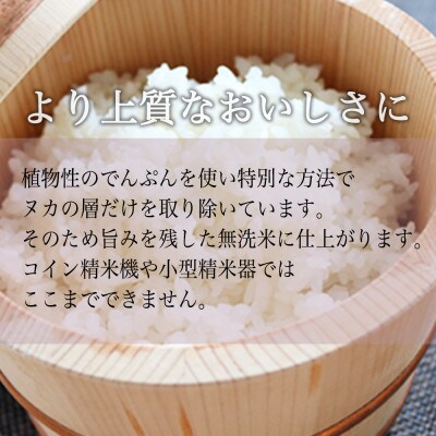 【吟精無洗米】南魚沼産コシヒカリ 精米 6kg