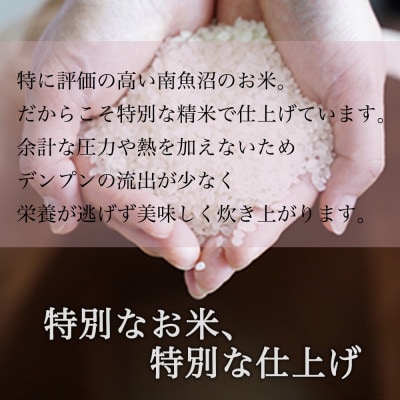 【吟精無洗米】南魚沼産コシヒカリ 精米 6kg