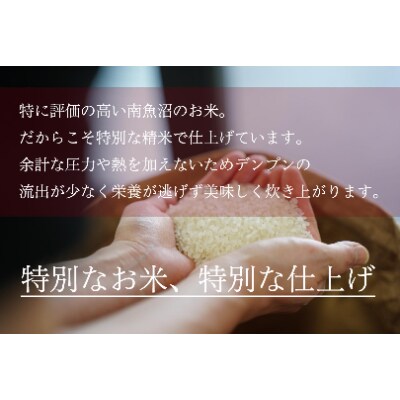 【2024年4月下旬発送】【吟精無洗米】『南魚沼産コシヒカリ』精米2kg×4