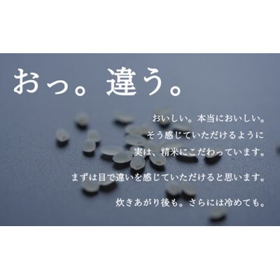 令和6年産 南魚沼『塩沢産コシヒカリ』精米 3kg×1袋