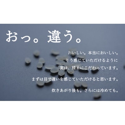 令和6年産 南魚沼『塩沢産コシヒカリ』精米 5kg×1袋