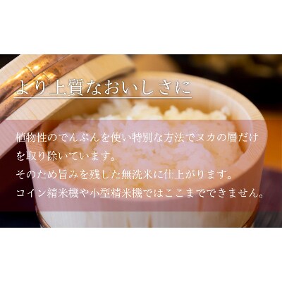 【毎月定期便】《吟精無洗米》南魚沼産コシヒカリ 2kg×2袋全6回