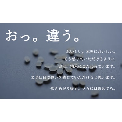 【毎月定期便】南魚沼『塩沢産コシヒカリ』精米 5kg×1袋全12回