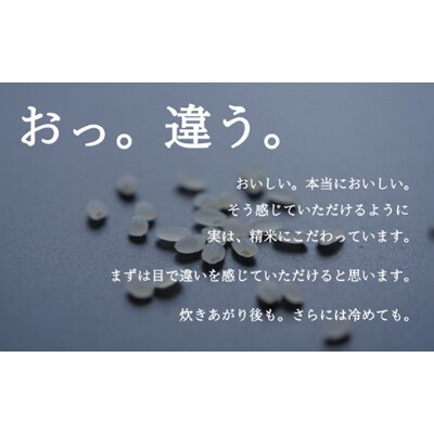 【毎月定期便】南魚沼『塩沢産コシヒカリ』精米 5kg×4袋全6回