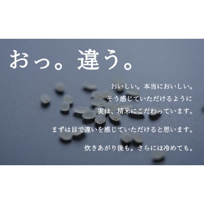 【毎月定期便】南魚沼『塩沢産コシヒカリ』精米 5kg×4袋全12回