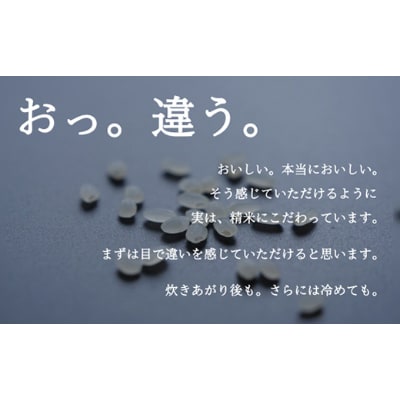 【毎月定期便】南魚沼『塩沢産コシヒカリ』精米 3kg×1袋全6回