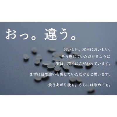 【毎月定期便】南魚沼『塩沢産コシヒカリ』精米 2kg×1袋全12回
