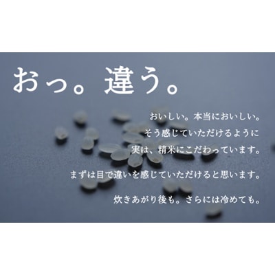 【毎月定期便】南魚沼『塩沢産コシヒカリ』精米 2kg×3袋全12回