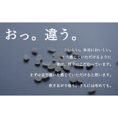 2021年11月発送開始『定期便』南魚沼産コシヒカリ(塩沢地区100%)2kg×1袋 全12回