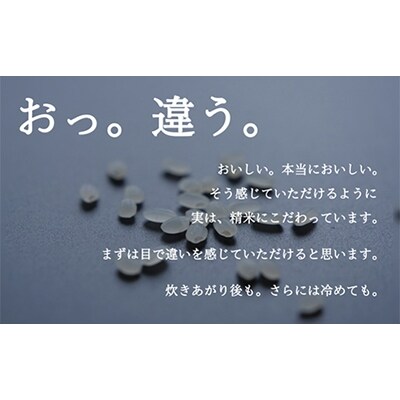 2022年2月発送開始『定期便』南魚沼産コシヒカリ(精米)『塩沢地区100%』2kg×3　全12回
