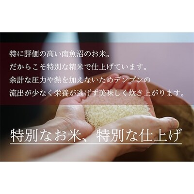 2022年3月発送開始『定期便』【吟精無洗米】『南魚沼産コシヒカリ』精米2kg　全6回