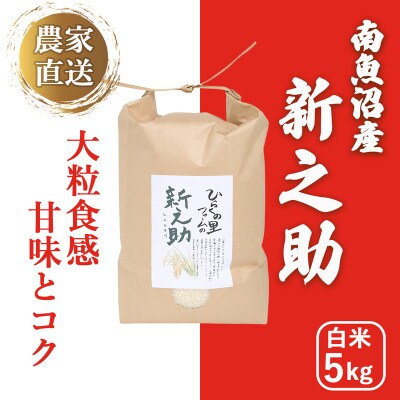 【新米受付】きらめく大粒!ひらくの里ファームの南魚沼産新之助 白米5kg