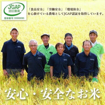 【新米受付】きらめく大粒!ひらくの里ファームの南魚沼産新之助 白米5kg