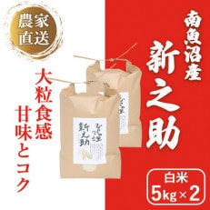 きらめく大粒!ひらくの里ファームの南魚沼産新之助　白米5kg×2 | ふるさと納税のお礼品