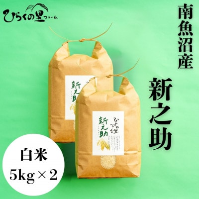 【令和7年産新米予約】きらめく大粒!ひらくの里ファームの南魚沼産新之助　白米5kg×2