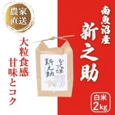 きらめく大粒!ひらくの里ファームの南魚沼産新之助　白米2kg | ふるさと納税のお礼品