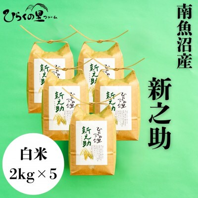 【令和7年産新米予約】きらめく大粒!ひらくの里ファームの南魚沼産新之助　白米2kg×5