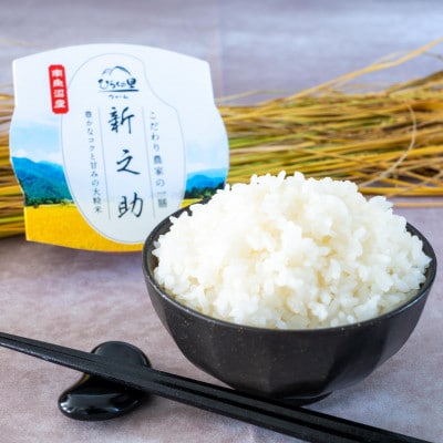 まるで炊き立て!南魚沼産新之助のパックごはん(9個入り)