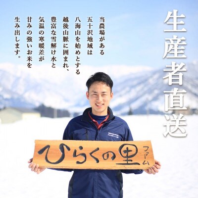 まるで炊き立て!南魚沼産つきあかりのパックごはん(20個入り)