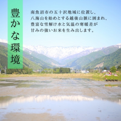 【令和7年産新米予約】しゃっきり艶やか!ひらくの里ファームの南魚沼産つきあかり　精米2kg×5袋