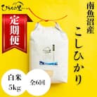 【発送月固定定期便】もっちり甘い!南魚沼産コシヒカリ 白米[5kg×1袋]全6回