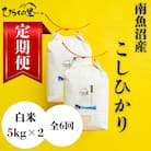 【発送月固定定期便】もっちり甘い!南魚沼産コシヒカリ 白米[5kg×2袋]全6回