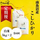 【発送月固定定期便】もっちり甘い!南魚沼産コシヒカリ 白米5kg×2袋 ひらくの里ファーム全6回