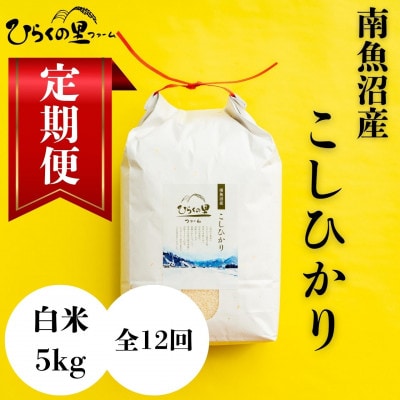 【毎月定期便】もっちり甘い!南魚沼産コシヒカリ 白米5kg ひらくの里ファーム全12回