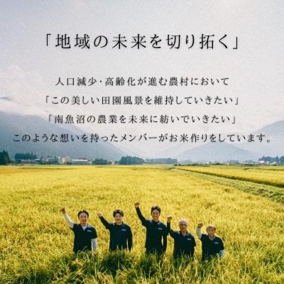 【毎月定期便】もっちり甘い!南魚沼産コシヒカリ 白米5kg×2袋 ひらくの里ファーム全6回