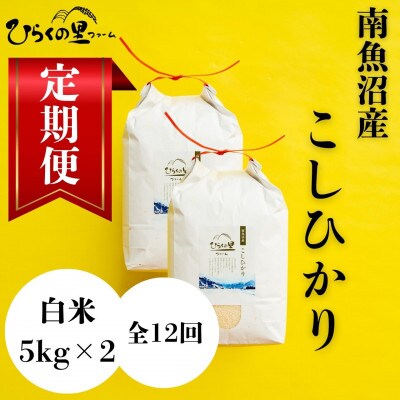 【毎月定期便】もっちり甘い!南魚沼産コシヒカリ 白米5kg×2袋 ひらくの里ファーム全12回