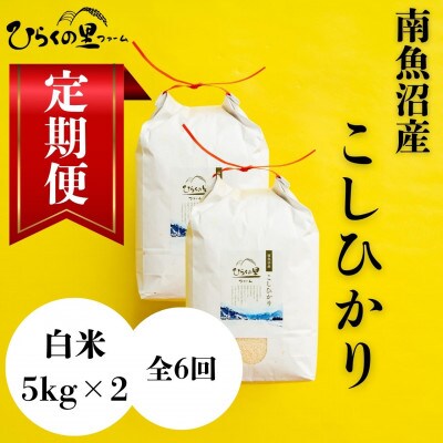 【発送月固定定期便】もっちり甘い!南魚沼産コシヒカリ 白米5kg×2袋 ひらくの里ファーム全6回