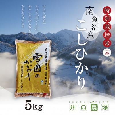 【令和6年産】南魚沼産コシヒカリ 5kg  井口農場こだわりの 特別栽培米