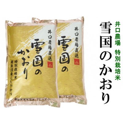 【2024年10月下旬発送】【令和5年産】 南魚沼コシヒカリ10kg 井口農場の 特別栽培米