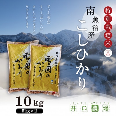 【令和6年産】南魚沼産コシヒカリ 10kg 井口農場こだわりの 特別栽培米