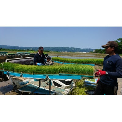 【冬季限定セット】南魚沼産コシヒカリ(精米)2kgと農場もち1kg