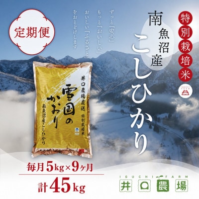 【毎月定期便】南魚沼産コシヒカリ 5kg 井口農場こだわりの 特別栽培米全9回