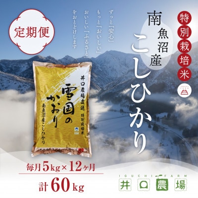 【毎月定期便】南魚沼産コシヒカリ 5kg 井口農場こだわりの 特別栽培米全12回