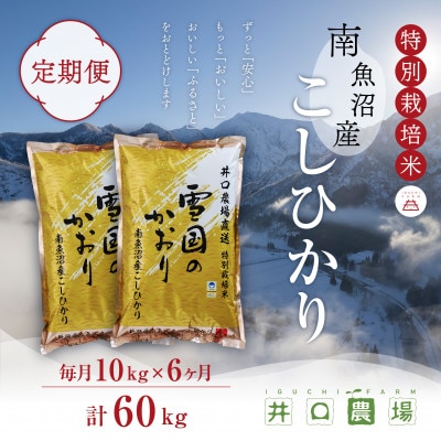 【毎月定期便】南魚沼産コシヒカリ 10kg 井口農場こだわりの 特別栽培米全6回