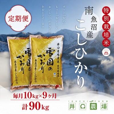 【毎月定期便】南魚沼産コシヒカリ 10kg 井口農場こだわりの 特別栽培米全9回