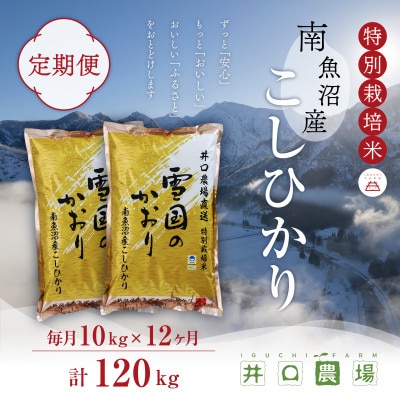 【毎月定期便】南魚沼産コシヒカリ 10kg 井口農場こだわりの 特別栽培米全12回