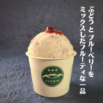 フレミンの生ジェラート【ブルーベリーミックス】1.8L×1個