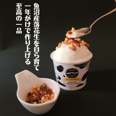 フレミンジェラート|ミルク味(110ml×8個)とピーナッツのプラリネ(65g×1袋)