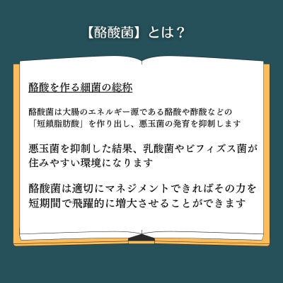 ヤーコンのフラクトオリゴ糖を発酵!酪酸菌「龍氣養命堂の発酵ヤーコン」5g×60入