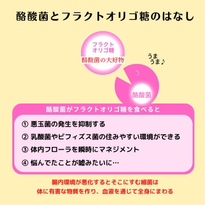 ヤーコンのフラクトオリゴ糖を発酵!酪酸菌「龍氣養命堂の発酵ヤーコン」5g×60入