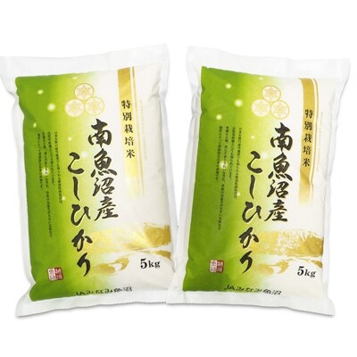 「2021年2月上旬発送」【令和2年産】「特別栽培米南魚沼産こしひかり8割減10kg」(精米)