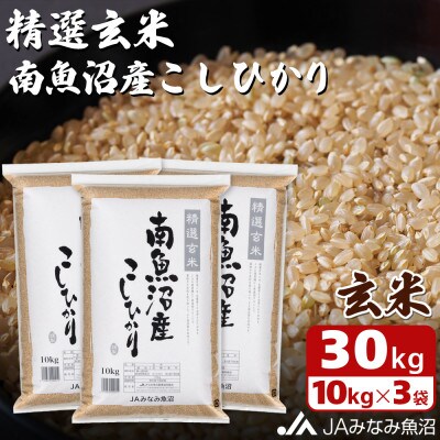 令和米 南魚沼産コシヒカリ一等米 10キロ食品/飲料/酒