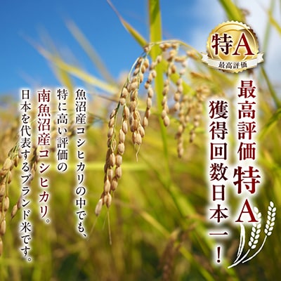 特別栽培米南魚沼産こしひかり「ふんわりパックごはん200g×10個」