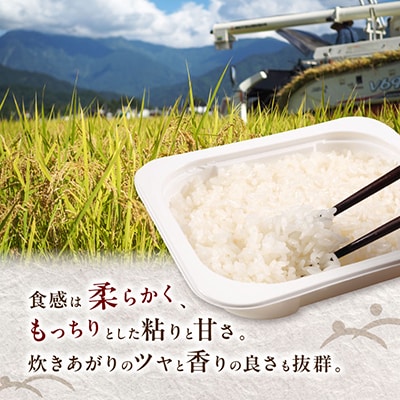 特別栽培米南魚沼産こしひかり「ふんわりパックごはん200g×10個」