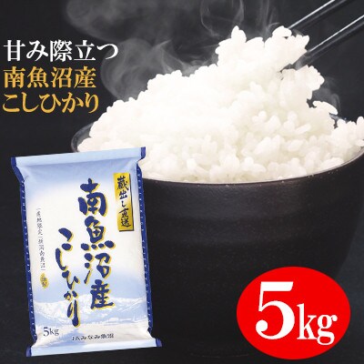 【2023年3月中旬発送】【令和4年産】JAみなみ魚沼不動の人気「南魚沼産こしひかり」精米5kg