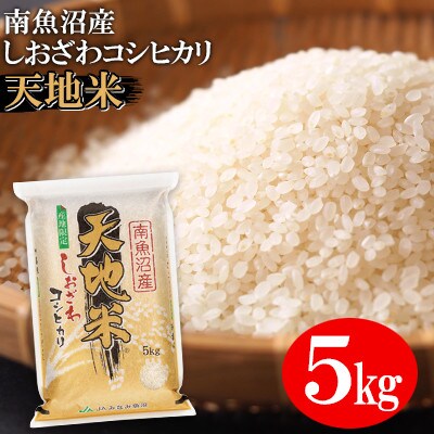 【2023年2月中旬発送】【令和4年産】JAみなみ魚沼　南魚沼産コシヒカリ『天地米』精米5kg